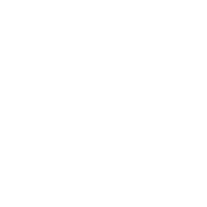 Wish Bingo 500x500_white